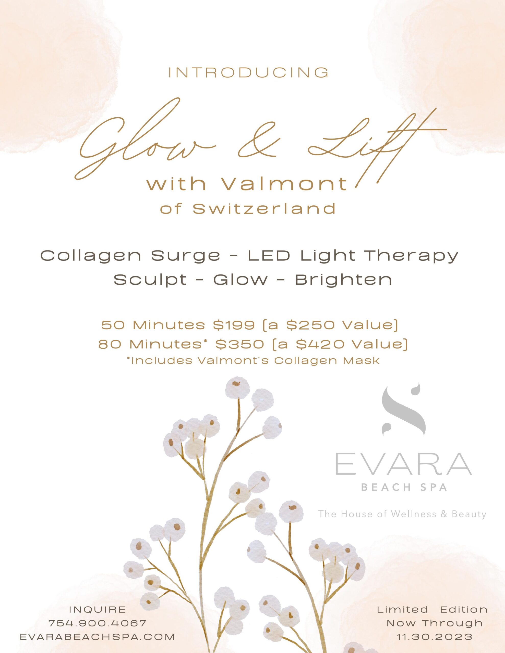 Glow and Lift Facial by Valmont